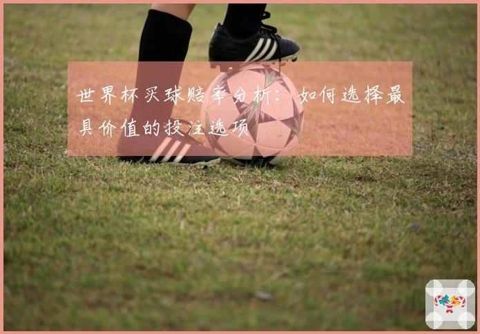 世界杯买球赔率分析：如何选择最具价值的投注选项