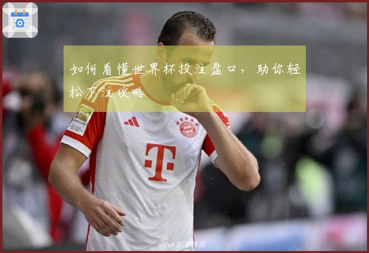 如何看懂世界杯投注盘口，助你轻松下注攻略