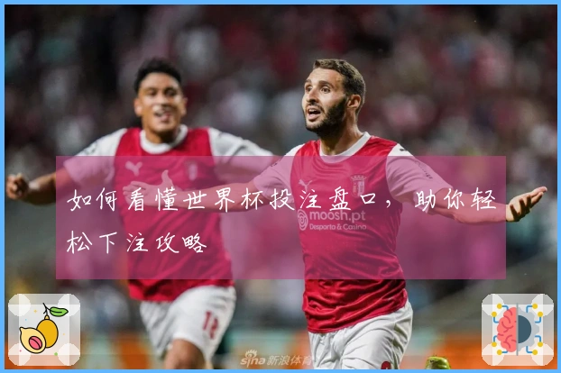 如何看懂世界杯投注盘口，助你轻松下注攻略